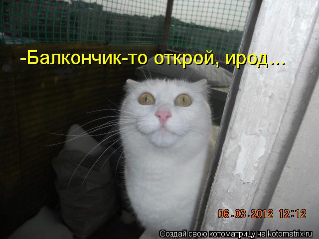 -Балкончик-то открой, ирод...... Котоматрица: -Балкончик-то открой, ирод...