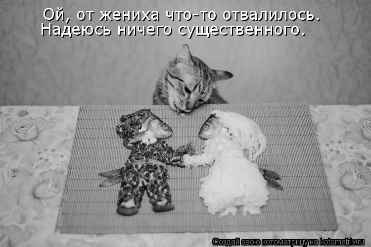 Ой, от жениха что-то отвалилось. Надеюсь ничего существенного.... Котоматрица: Ой, от жениха что-то отвалилось. Надеюсь ничего существенного.