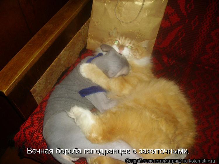 Вечная борьба голодранцев с зажиточными.... Котоматрица: Вечная борьба голодранцев с зажиточными.