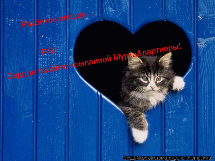 Разбитое сердце... P.S.: Сердце разбито компанией Мурка&партнеры!... Котоматрица: Разбитое сердце... P.S.: Сердце разбито компанией Мурка&партнеры!