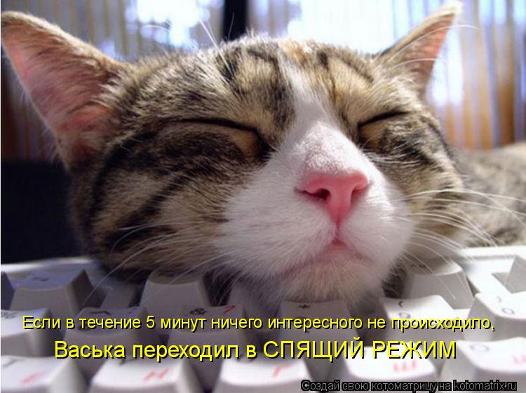 Если в течение 5 минут ничего интересного не происходило, Васька переходил в СПЯЩИЙ РЕЖИМ... Котоматрица: Если в течение 5 минут ничего интересного не происходило, Васька переходил в СПЯЩИЙ РЕЖИМ