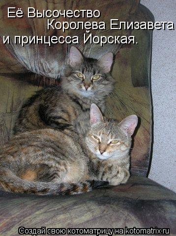 Её Высочество Королева Елизавета и принцесса Йорская.... Котоматрица: Её Высочество Королева Елизавета и принцесса Йорская.