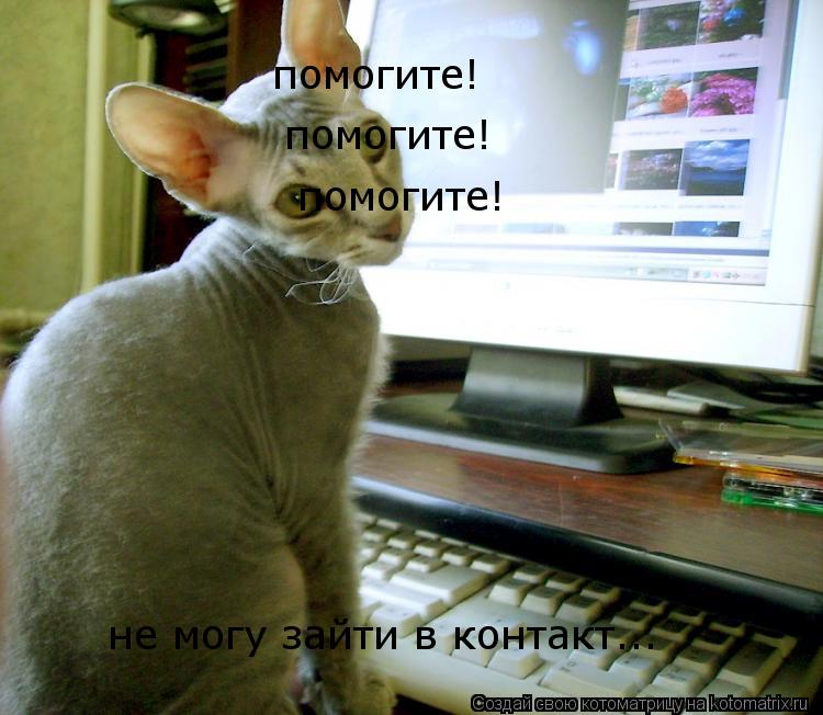 не могу зайти в контакт... помогите! помогите! помогите!... Котоматрица: не могу зайти в контакт... помогите! помогите! помогите!