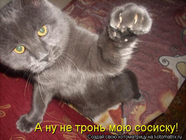 А ну не тронь мою сосиску!... Котоматрица: А ну не тронь мою сосиску!