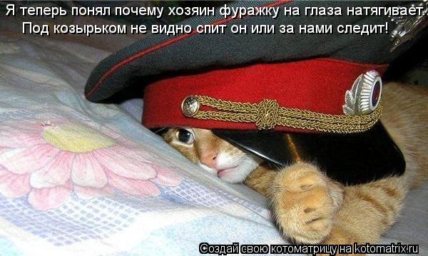 Я теперь понял почему хозяин фуражку на глаза натягивает... Под козырьком не видно спит он или за нам... Котоматрица: Я теперь понял почему хозяин фуражку на глаза натягивает... Под козырьком не видно спит он или за нами следит!
