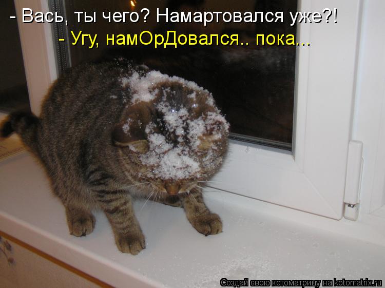 - Вась, ты чего? Намартовался уже?! - Угу, намОрДовался.. пока...... Котоматрица: - Вась, ты чего? Намартовался уже?! - Угу, намОрДовался.. пока...