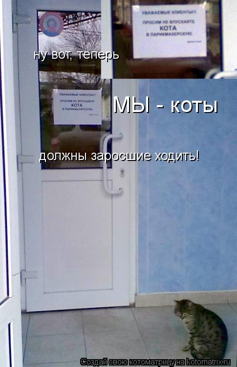 ну вот, теперь МЫ - коты должны заросшие ходить!... Котоматрица: ну вот, теперь МЫ - коты должны заросшие ходить!
