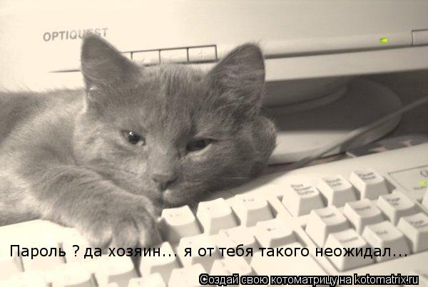 Пароль ? да хозяин... я от тебя такого неожидал...... Котоматрица: Пароль ? да хозяин... я от тебя такого неожидал...