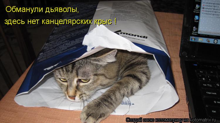 здесь нет канцелярских крыс ! Обманули дьяволы,... Котоматрица: здесь нет канцелярских крыс ! Обманули дьяволы,