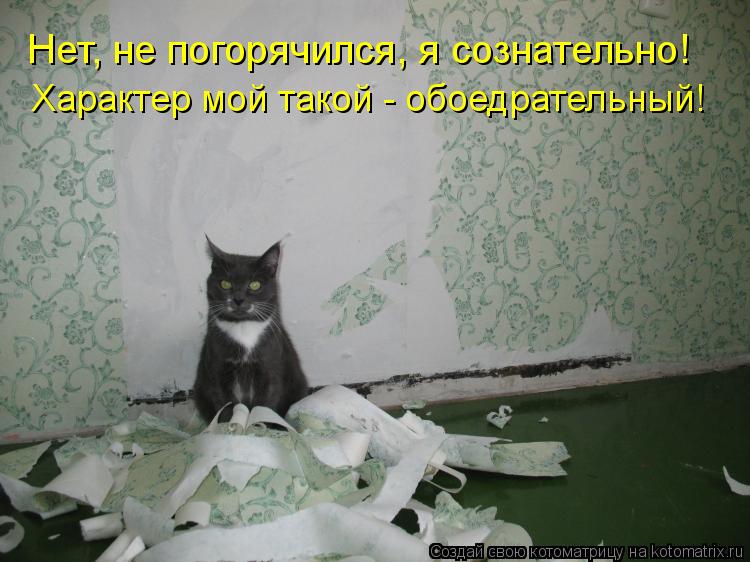 Нет, не погорячился, я сознательно! Характер мой такой - обоедрательный!... Котоматрица: Нет, не погорячился, я сознательно! Характер мой такой - обоедрательный!