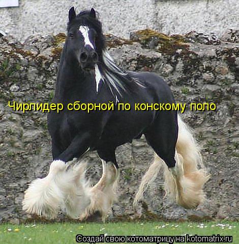 Чирлидер сборной по конскому поло... Котоматрица: Чирлидер сборной по конскому поло