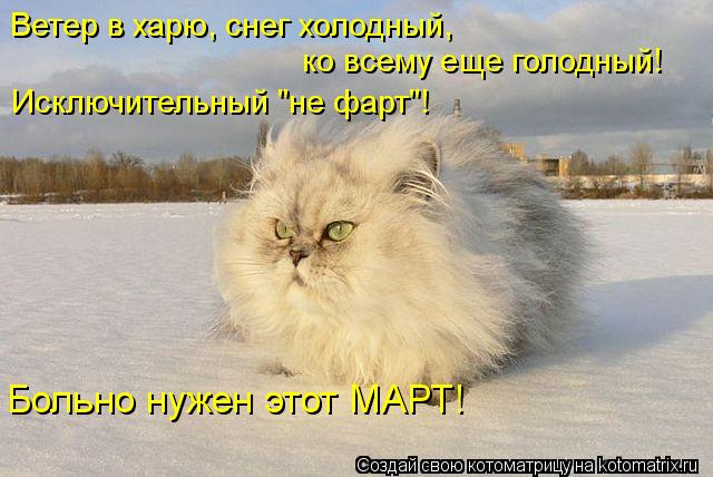 Ветер в харю, снег холодный, ко всему еще голодный! Исключительный "не фарт"! Больно нужен этот МАР... Котоматрица: Ветер в харю, снег холодный, ко всему еще голодный! Исключительный "не фарт"! Больно нужен этот МАРТ!