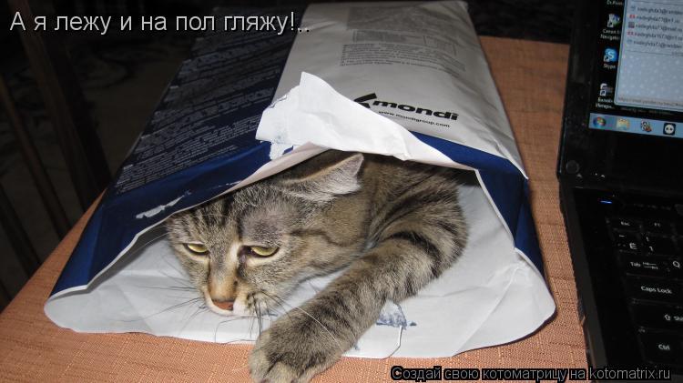 А я лежу и на пол гляжу!..... Котоматрица: А я лежу и на пол гляжу!..
