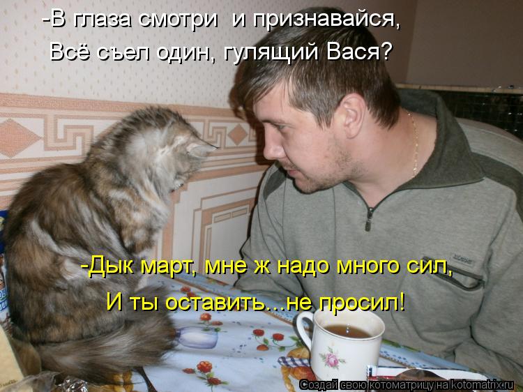 -В глаза смотри и признавайся, Всё съел один, гулящий Вася? -Дык март, мне ж надо много сил, И ты ос... Котоматрица: -В глаза смотри и признавайся, Всё съел один, гулящий Вася? -Дык март, мне ж надо много сил, И ты оставить...не просил!