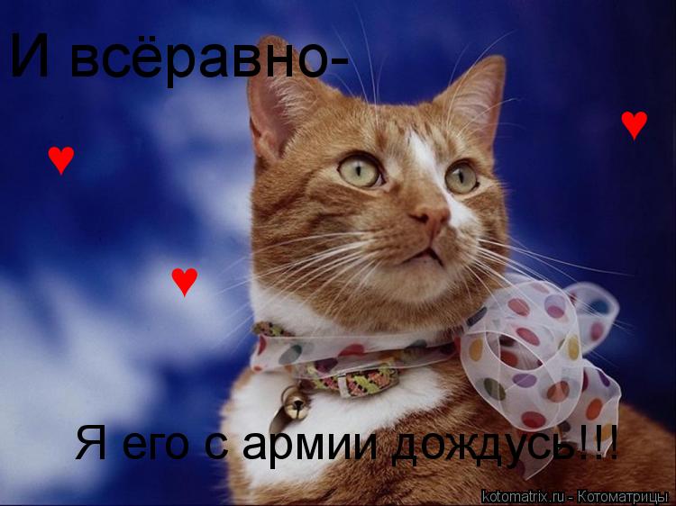 И всёравно- Я его с армии дождусь!!! ♥ ♥ ♥... Котоматрица: И всёравно- Я его с армии дождусь!!! ♥ ♥ ♥