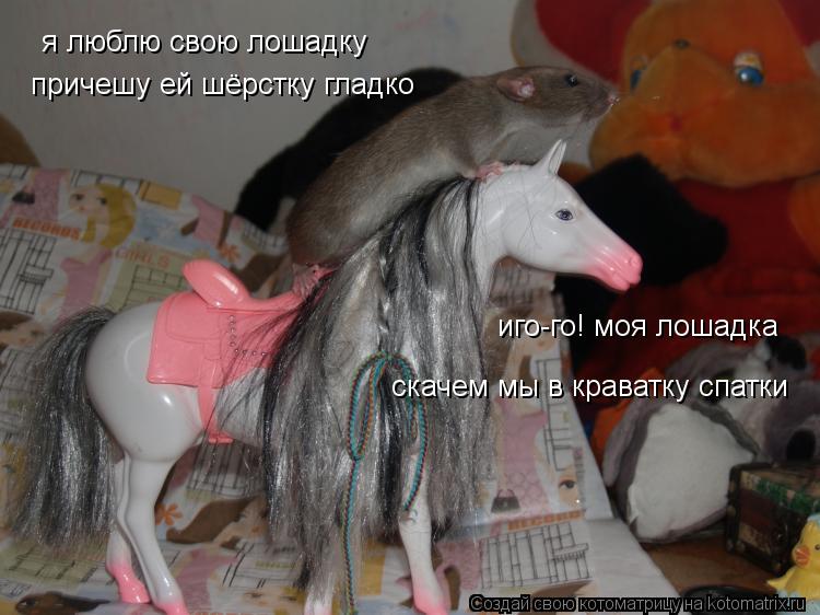 я люблю свою лошадку причешу ей шёрстку гладко иго-го! моя лошадка скачем мы в краватку спатки... Котоматрица: я люблю свою лошадку причешу ей шёрстку гладко иго-го! моя лошадка скачем мы в краватку спатки