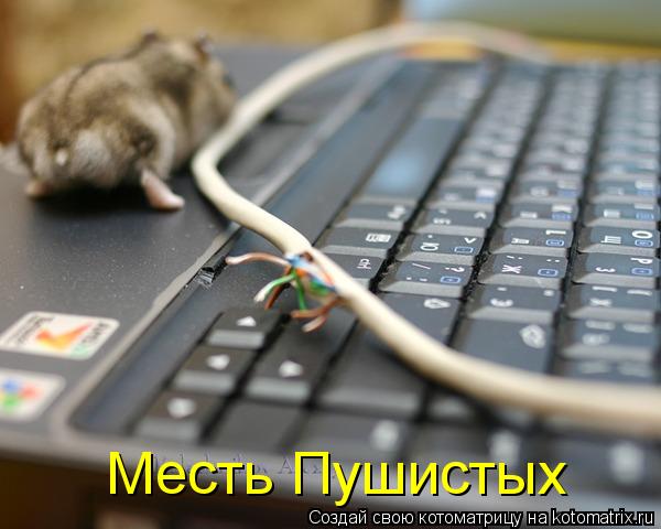 Месть Пушистых... Котоматрица: Месть Пушистых