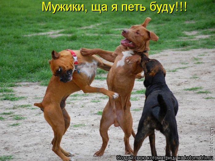Мужики, ща я петь буду!!!... Котоматрица: Мужики, ща я петь буду!!!