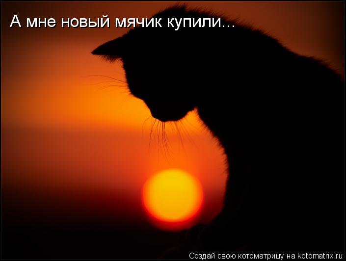 А мне новый мячик купили...... Котоматрица: А мне новый мячик купили...