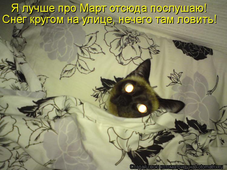Снег кругом на улице, нечего там ловить! Я лучше про Март отсюда послушаю!... Котоматрица: Снег кругом на улице, нечего там ловить! Я лучше про Март отсюда послушаю!