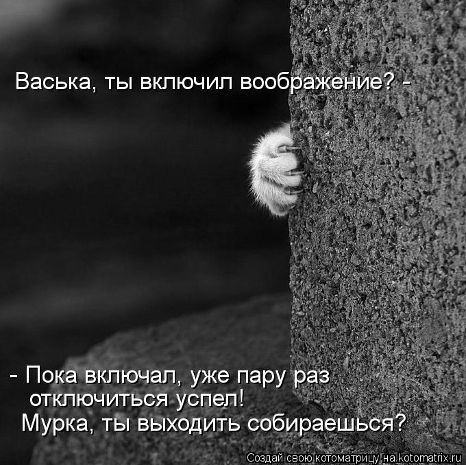 Васька, ты включил воображение? - Мурка, ты выходить собираешься? отключиться успел! - Пока включал,... Котоматрица: Васька, ты включил воображение? - Мурка, ты выходить собираешься? отключиться успел! - Пока включал, уже пару раз