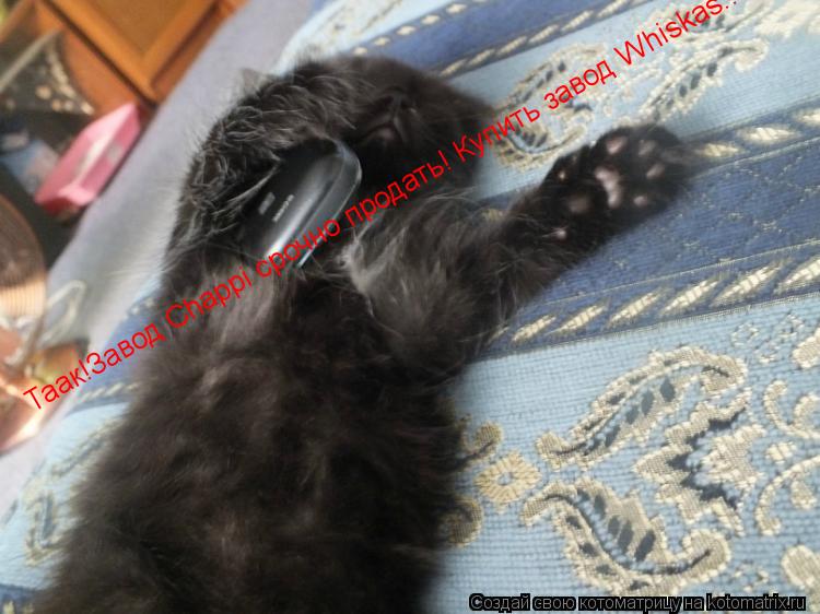 Таак!Завод Chappi срочно продать! Купить завод Whiskas...... Котоматрица: Таак!Завод Chappi срочно продать! Купить завод Whiskas...