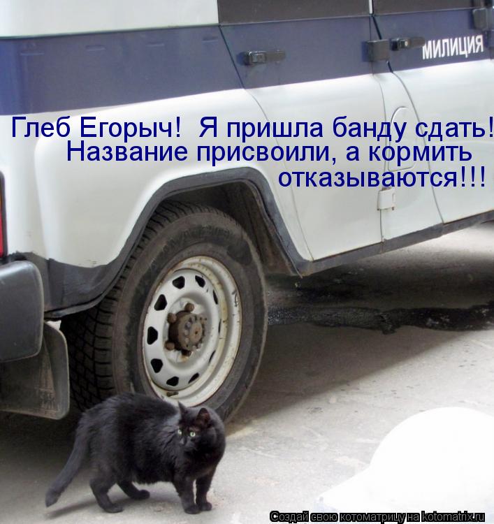 Глеб Егорыч! Я пришла банду сдать! отказываются!!! Название присвоили, а кормить... Котоматрица: Глеб Егорыч! Я пришла банду сдать! отказываются!!! Название присвоили, а кормить