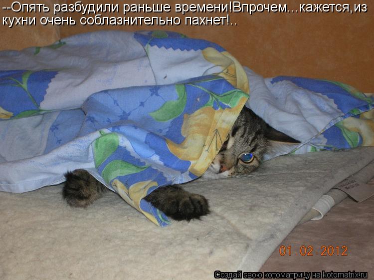 --Опять разбудили раньше времени!Впрочем...кажется,из кухни очень соблазнительно пахнет!..... Котоматрица: --Опять разбудили раньше времени!Впрочем...кажется,из кухни очень соблазнительно пахнет!..
