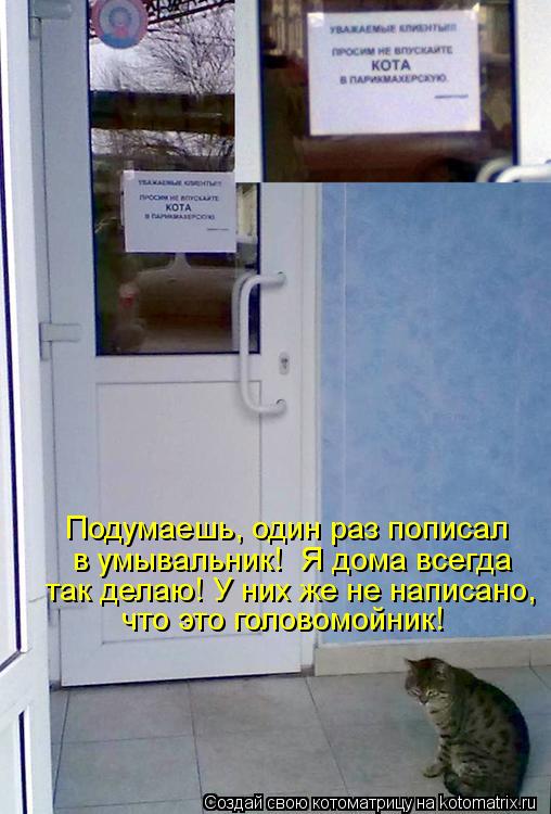 Подумаешь, один раз пописал в умывальник! Я дома всегда так делаю! У них же не написано, что это ... Котоматрица: Подумаешь, один раз пописал в умывальник! Я дома всегда так делаю! У них же не написано, что это головомойник!