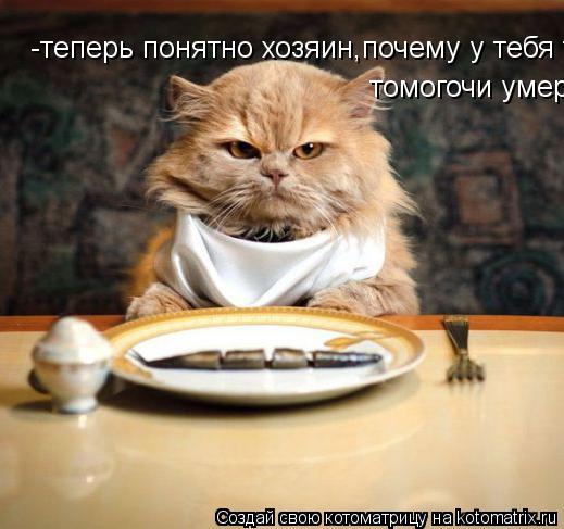 -теперь понятно хозяин,почему у тебя томогочи умер....... томогочи умер.......... Котоматрица: -теперь понятно хозяин,почему у тебя томогочи умер....... томогочи умер.......