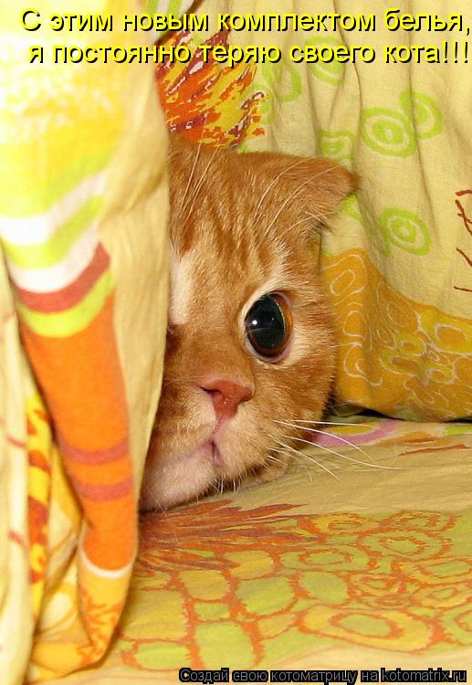 С этим новым комплектом белья, я постоянно теряю своего кота!!!... Котоматрица: С этим новым комплектом белья, я постоянно теряю своего кота!!!