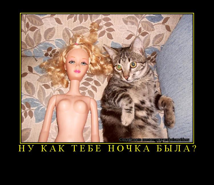 Ну как тебе ночка была? ... Котоматрица: Ну как тебе ночка была?