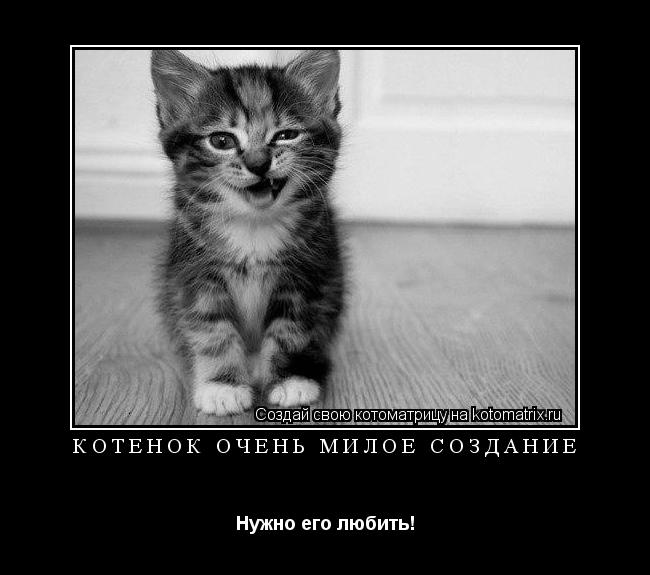 Котёнок очень милое создание Нужно его любить!... Котоматрица: Котёнок очень милое создание Нужно его любить!