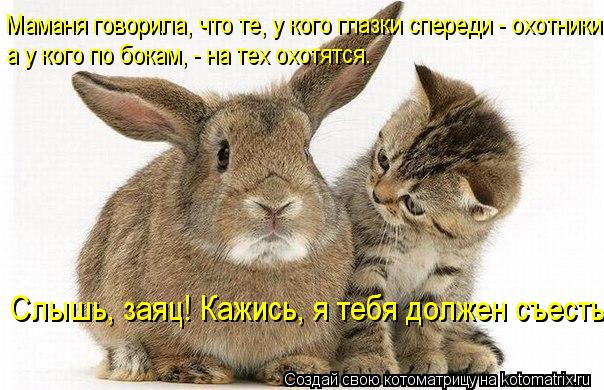 Маманя говорила, что те, у кого глазки спереди - охотники, а у кого по бокам, - на тех охотятся. Слыш... Котоматрица: Маманя говорила, что те, у кого глазки спереди - охотники, а у кого по бокам, - на тех охотятся. Слышь, заяц! Кажись, я тебя должен съесть...