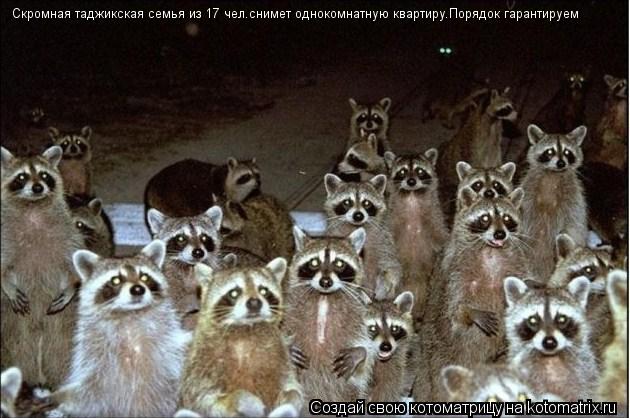 Скромная таджикская семья из 17 чел.снимет однокомнатную квартиру.Порядок гарантируем... Котоматрица: Скромная таджикская семья из 17 чел.снимет однокомнатную квартиру.Порядок гарантируем