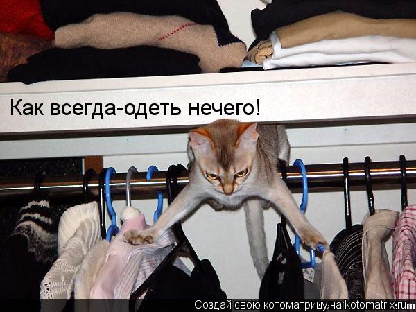 Как всегда-одеть нечего!... Котоматрица: Как всегда-одеть нечего!