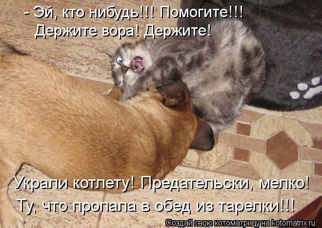 - Эй, кто нибудь!!! Помогите!!! Держите вора! Держите! Украли котлету! Предательски, мелко! Ту, что п... Котоматрица: - Эй, кто нибудь!!! Помогите!!! Держите вора! Держите! Украли котлету! Предательски, мелко! Ту, что пропала в обед из тарелки!!!