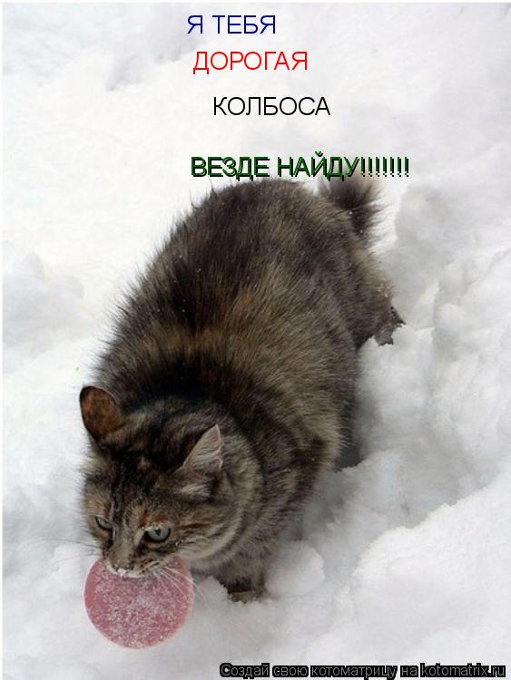Я ТЕБЯ ДОРОГАЯ КОЛБОСА ВЕЗДЕ НАЙДУ!!!!!!! НЯМ-НЯМ!!... Котоматрица: Я ТЕБЯ ДОРОГАЯ КОЛБОСА ВЕЗДЕ НАЙДУ!!!!!!! НЯМ-НЯМ!!