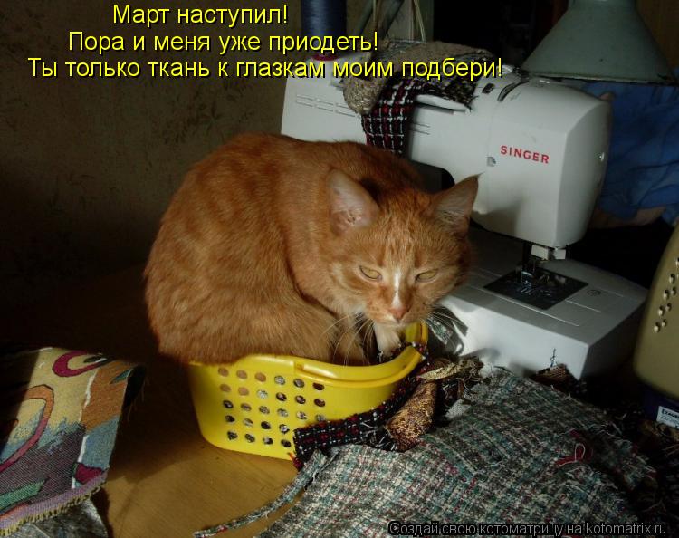 Март наступил! Пора и меня уже приодеть! Ты только ткань к глазкам моим подбери!... Котоматрица: Март наступил! Пора и меня уже приодеть! Ты только ткань к глазкам моим подбери!