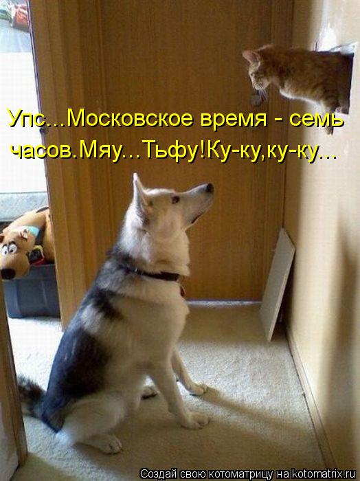 Упс...Московское время - семь часов.Мяу...Тьфу!Ку-ку,ку-ку...... Котоматрица: Упс...Московское время - семь часов.Мяу...Тьфу!Ку-ку,ку-ку...