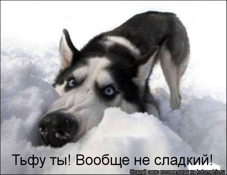 Тьфу ты! Вообще не сладкий!... Котоматрица: Тьфу ты! Вообще не сладкий!