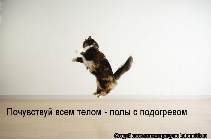 Почувствуй всем телом - полы с подогревом... Котоматрица: Почувствуй всем телом - полы с подогревом