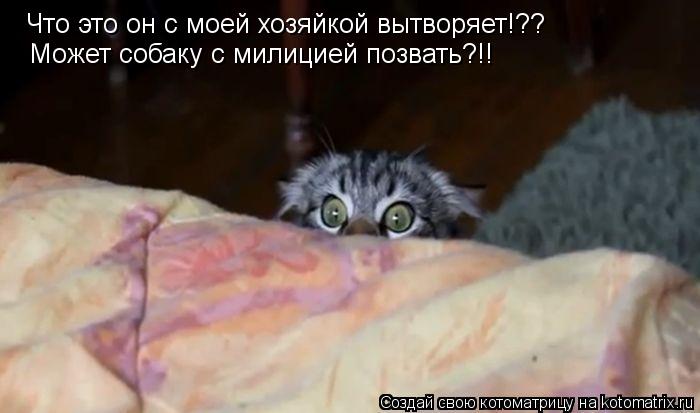 Что это он с моей хозяйкой вытворяет!?? Может собаку с милицией позвать?!!... Котоматрица: Что это он с моей хозяйкой вытворяет!?? Может собаку с милицией позвать?!!