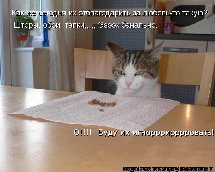 Как же сегодня их отблагодарить за любовь-то такую? Шторы, обои, тапки,,,,, Ээээх банально... О!!!! ... Котоматрица: Как же сегодня их отблагодарить за любовь-то такую? Шторы, обои, тапки,,,,, Ээээх банально... О!!!! Буду их игнорррирррровать!