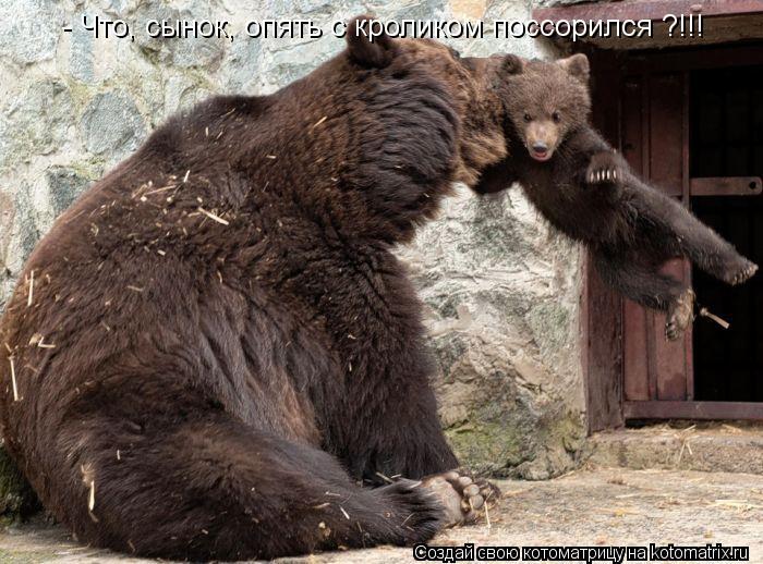 - Что, сынок, опять с кроликом поссорился ?!!!... Котоматрица: - Что, сынок, опять с кроликом поссорился ?!!!