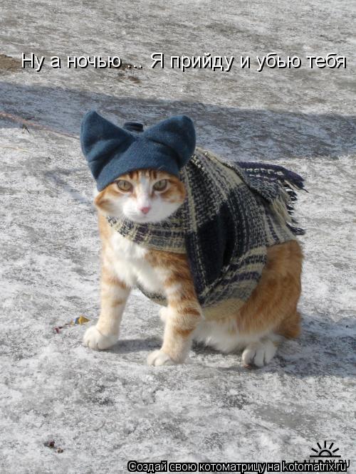 Ну а ночью ... Я прийду и убью тебя... Котоматрица: Ну а ночью ... Я прийду и убью тебя