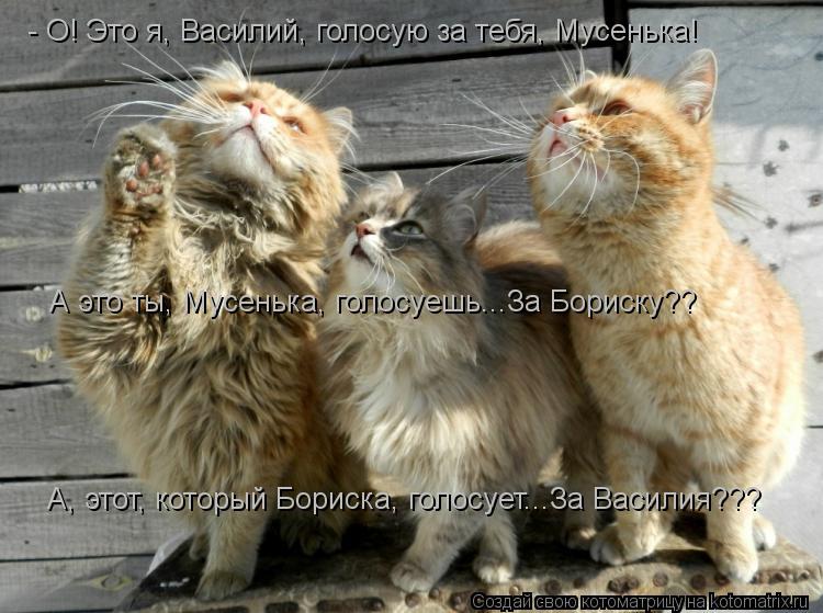 - О! Это я, Василий, голосую за тебя, Мусенька! А это ты, Мусенька, голосуешь...За Бориску?? А, этот,... Котоматрица: - О! Это я, Василий, голосую за тебя, Мусенька! А это ты, Мусенька, голосуешь...За Бориску?? А, этот, который Бориска, голосует...За Василия???