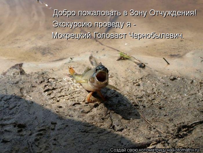 Добро пожаловать в Зону Отчуждения! Экскурсию проведу я - Мокрецкий Головаст Чернобылевич.... Котоматрица: Добро пожаловать в Зону Отчуждения! Экскурсию проведу я - Мокрецкий Головаст Чернобылевич.