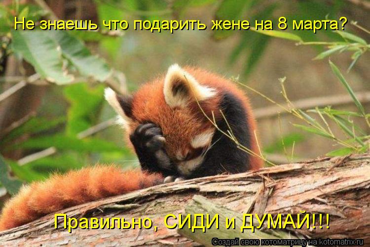 Не знаешь что подарить жене на 8 марта? Правильно, СИДИ и ДУМАЙ!!!... Котоматрица: Не знаешь что подарить жене на 8 марта? Правильно, СИДИ и ДУМАЙ!!!