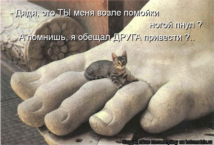 - Дядя, это ТЫ меня возле помойки ногой пнул ? А помнишь, я обещал ДРУГА привести ?..... Котоматрица: - Дядя, это ТЫ меня возле помойки ногой пнул ? А помнишь, я обещал ДРУГА привести ?..